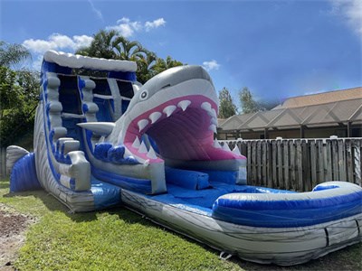 Outdoor Activities Water Inflatable Shark Slide